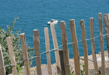 Les 10 expressions de « mon sud »