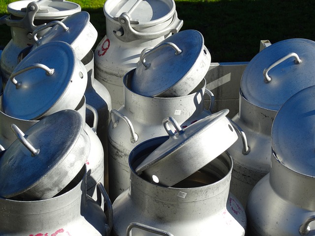 les-bienfaits-du-lait-danesse