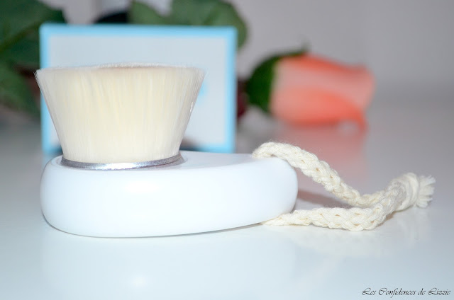 brosse-pour-le-visage-avis