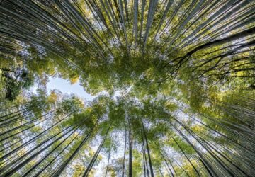 quels sont les gestes simples pour planete